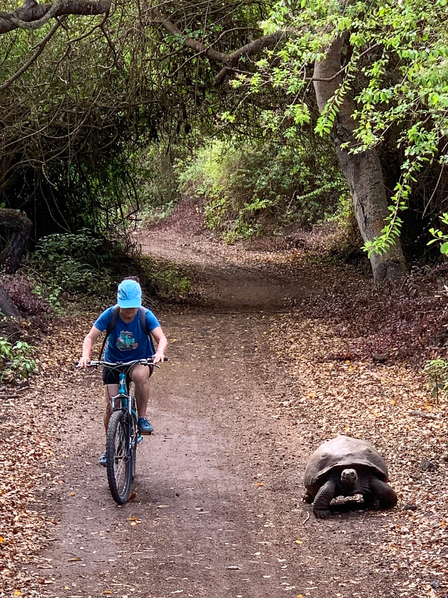 At a Tortoise's Pace - Isla Isabel, Galapagos, Ecuador_.jpg